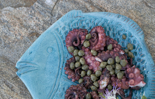 Warm seafood salad with herbs and capers