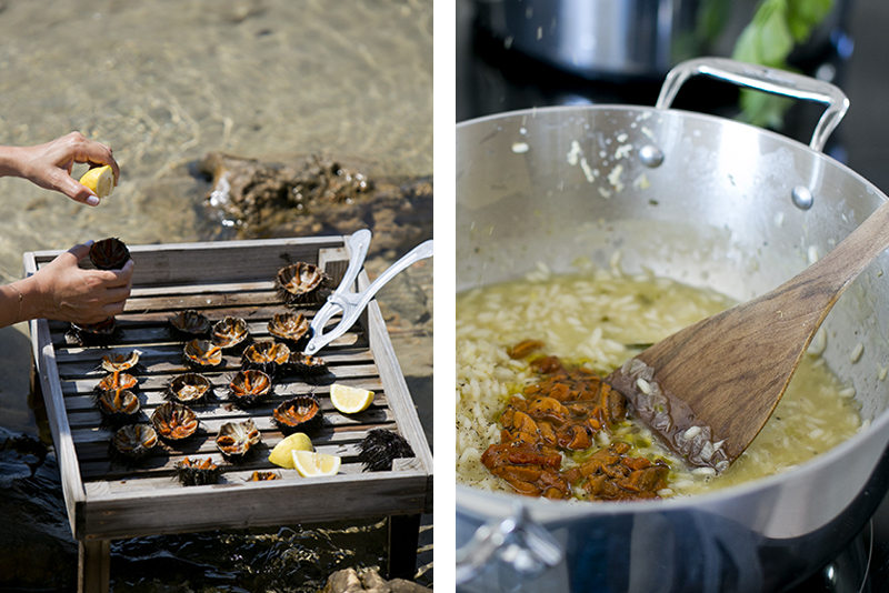 Sea Urchin Risotto