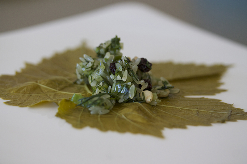 Dolmadakia - Vine Leaves Stuffed with Rice