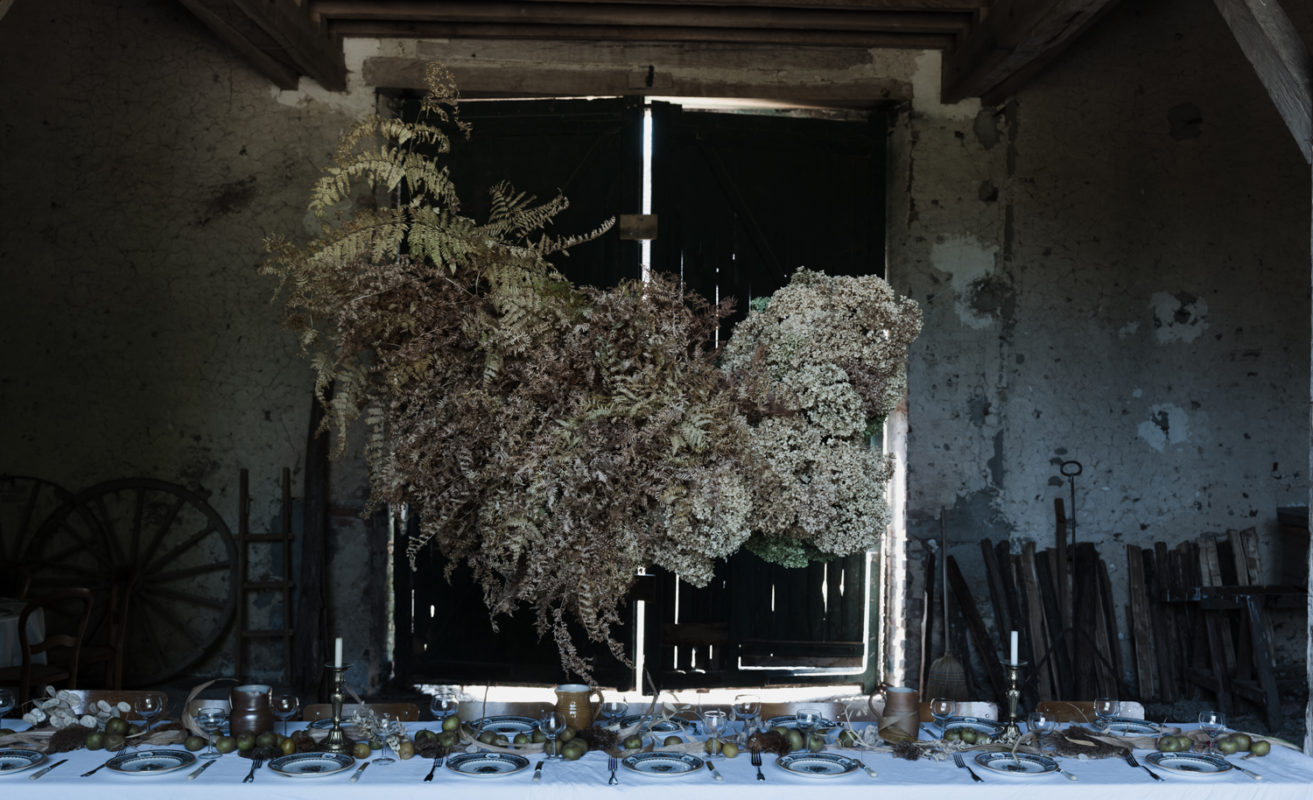 Sandra Choremi_Burgundy flowers