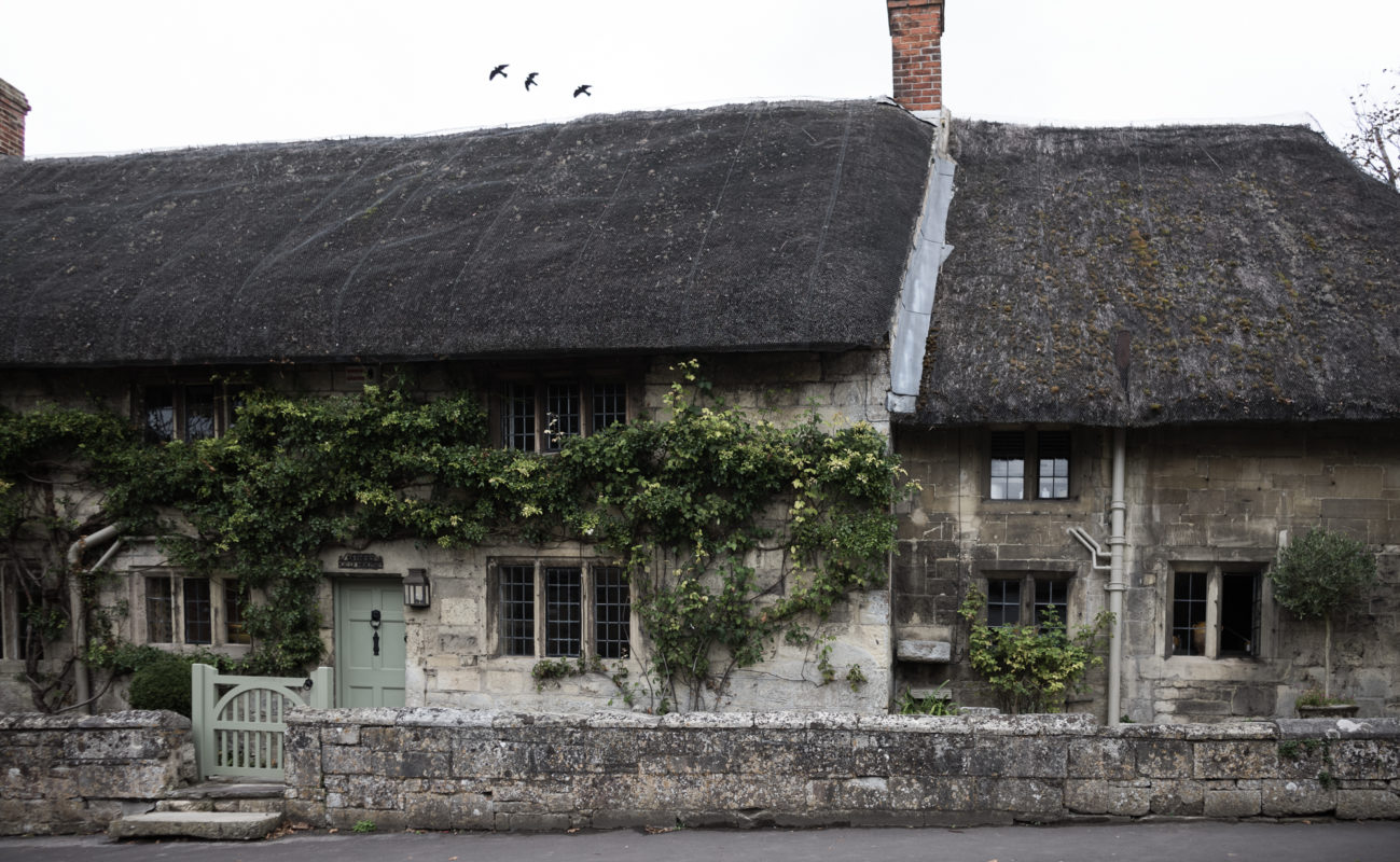 Sandra Choremi_Autumn in Tisbury