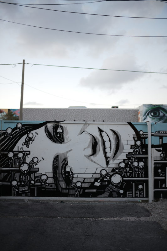 Sandra Choremi_Miami Street Art