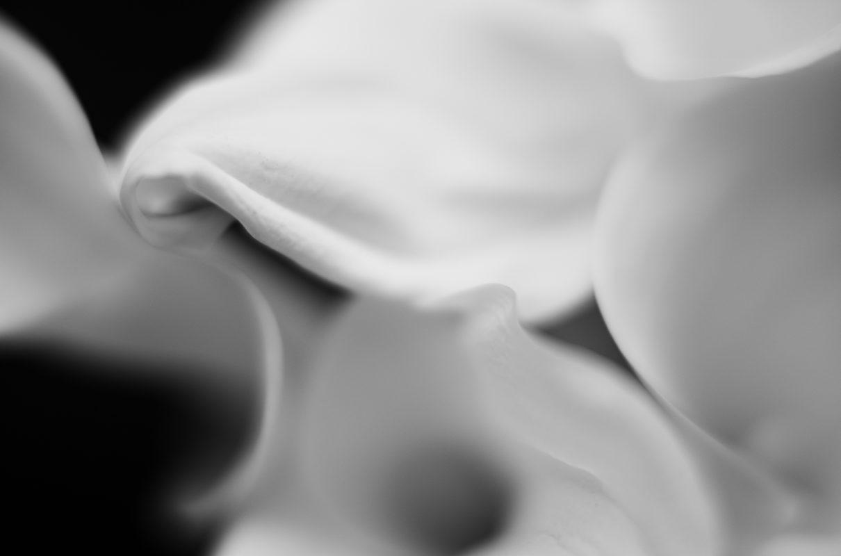 Abstract black and White Leica-M