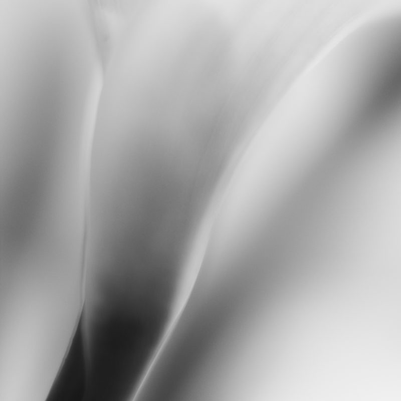 Abstract black and White Leica-M